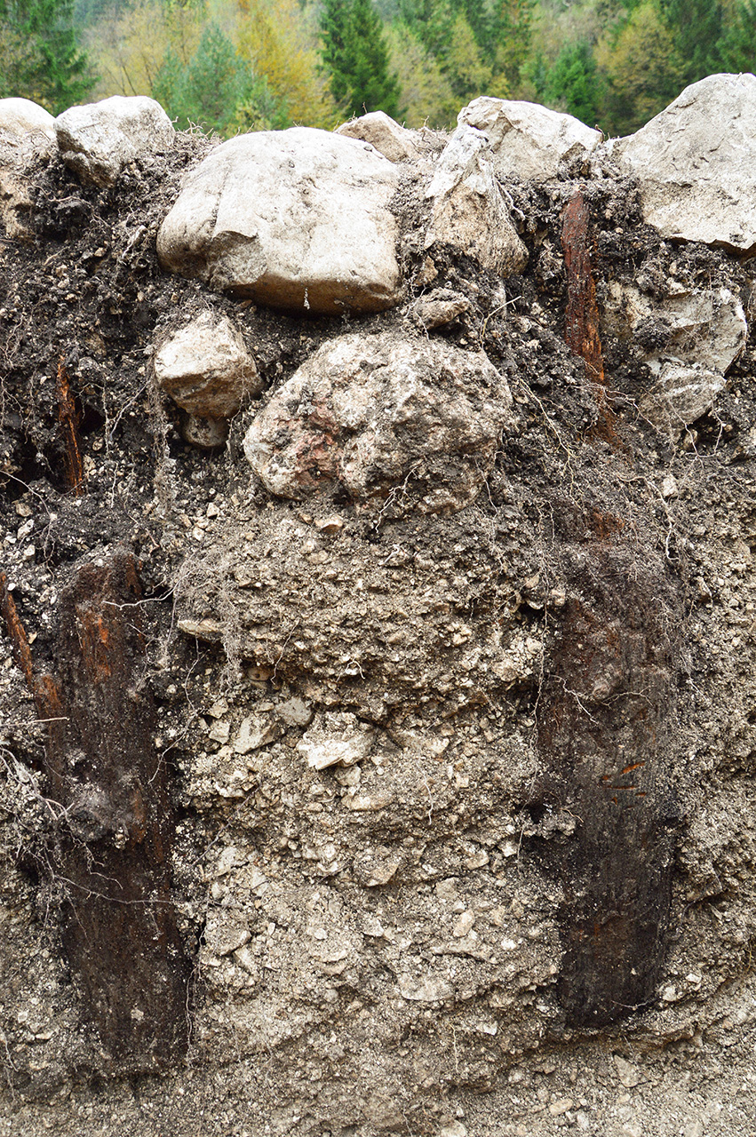 Remains of the mihrab structure wooden pillars, 14 October 2024, photo by Uroš Košir – Avgusta, d. o. o.